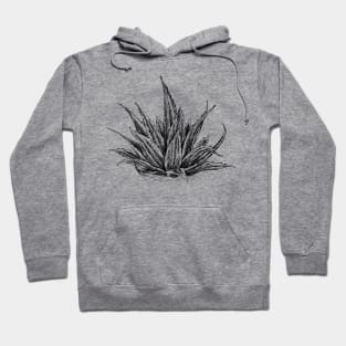 Aloe Vera Botanical Art Hoodie